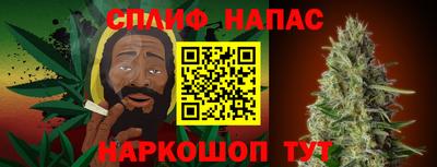 jwh Бердск