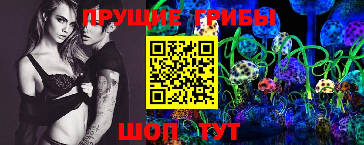 Псилоцибиновые грибы Psilocybine cubensis  Псилоцибиновые грибы мицелий  Гудермес  Вход с VPN 