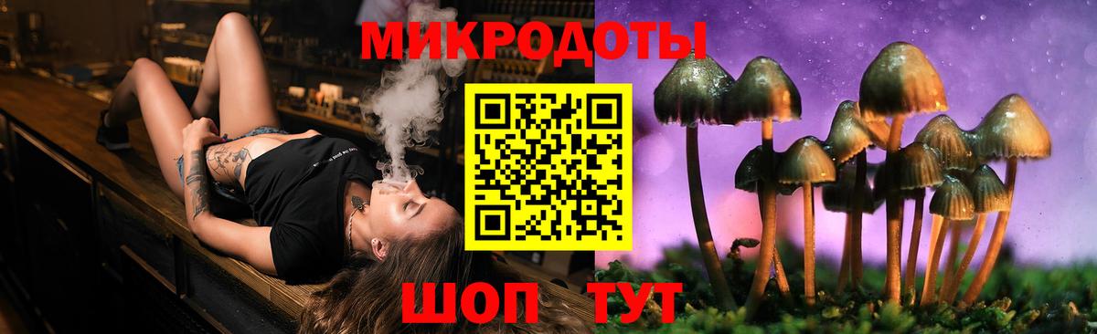 Галлюциногенные грибы Cubensis Гудермес